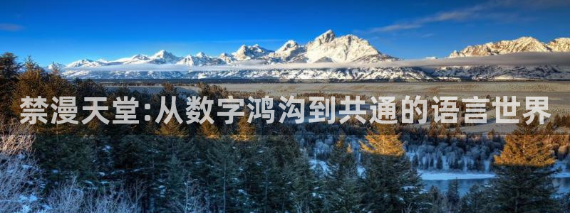 omofun动漫网页：禁漫天堂:从数字鸿沟到共通的语言世界