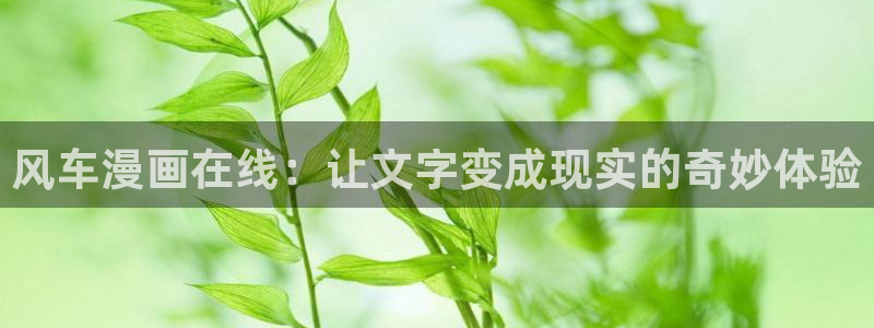 女神降临omofun动漫：风车漫画在线：让文字变成现实的奇妙体验