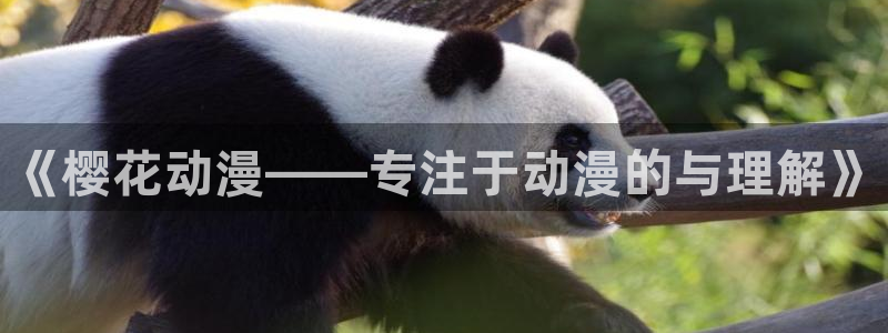 omofun一个：《樱花动漫——专注于动漫的与理解》