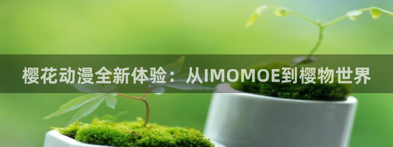 omofun动漫：樱花动漫全新体验：从IMOMOE到樱物世界
