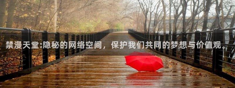 omofun 比较好用：禁漫天堂:隐秘的网络空间，保护我们共同的梦想与价值观。