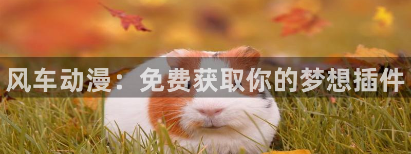 omofun下载官网：风车动漫：免费获取你的梦想插件