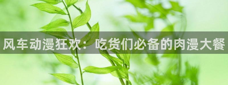 omofun免费下载：风车动漫狂欢：吃货们必备的肉漫大餐