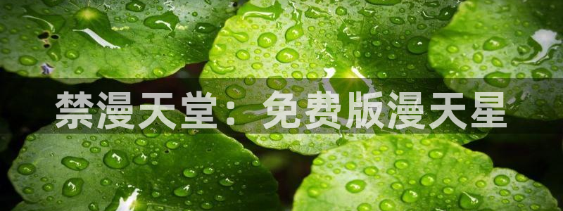omofun动漫下载最新版：禁漫天堂：免费版漫天星