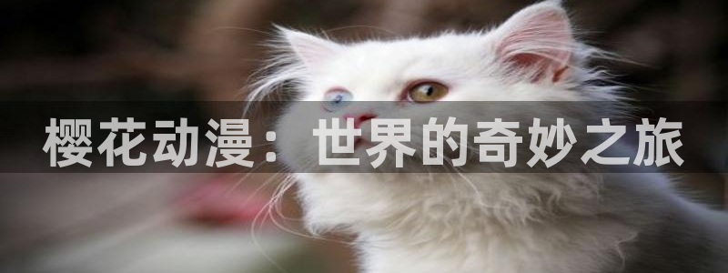 动漫omofun下载：樱花动漫：世界的奇妙之旅