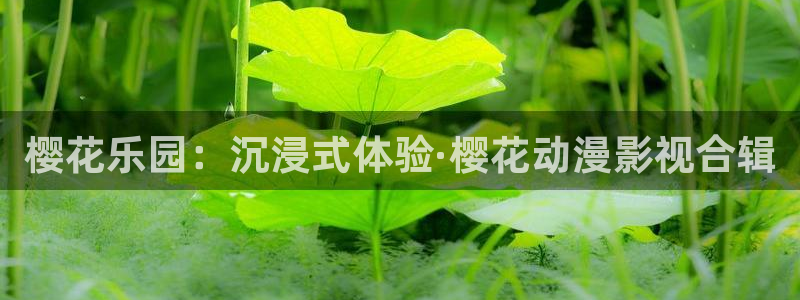omofun动漫app下载：樱花乐园：沉浸式体验·樱花动漫影视合辑