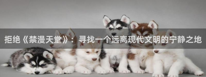 omofun吗：拒绝《禁漫天堂》：寻找一个远离现代文明的宁静之地