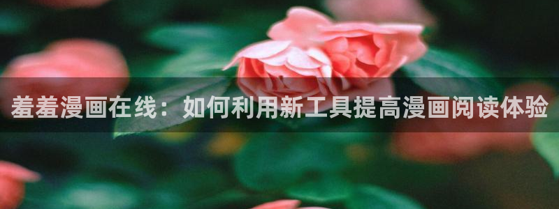 贝勒漫画下载最新版：羞羞漫画在线：如何利用新工具提高漫画阅读体验