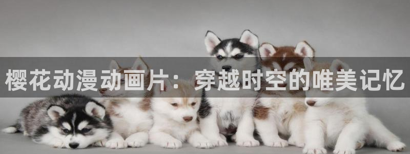 omofun 翻译：樱花动漫动画片：穿越时空的唯美记忆