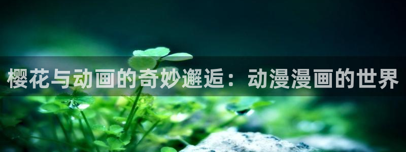 omofun网页版入口