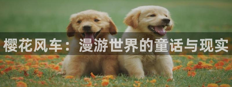 omofun专注动漫官网入口：樱花风车：漫游世界的童话与现实