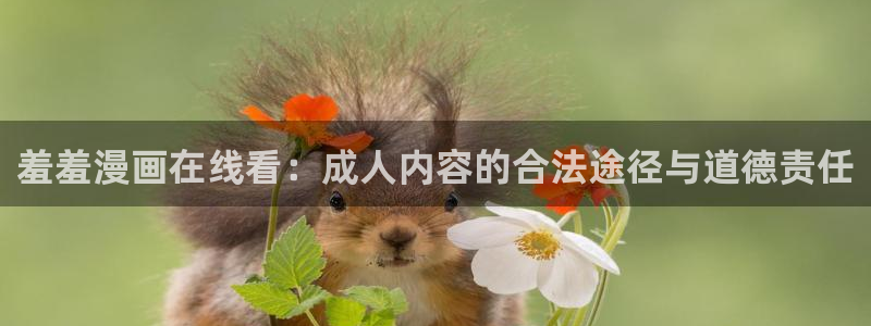 omofun 宕卧略：羞羞漫画在线看：成人内容的合法途径与道德责任