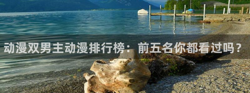 动漫共和国(omofun)官网：动漫双男主动漫排行榜：前五名你都看过吗？
