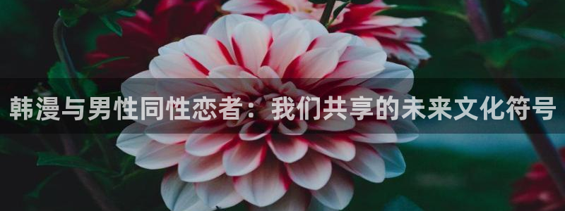omofun动漫.