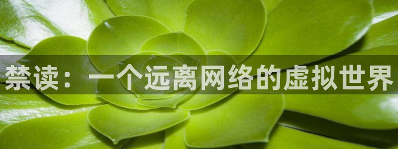 omofun动漫官方官网：禁读：一个远离网络的虚拟世界