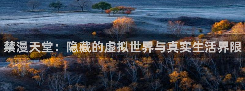 omofun正版官方：禁漫天堂：隐藏的虚拟世界与真实生活界限