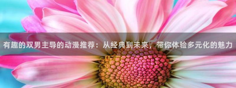 贝勒漫画最新版：有趣的双男主导的动漫推荐：从经典到未来，带你体验多元化的魅力