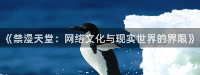 omofun正版官方链接：《禁漫天堂：网络文化与现实世界的界限》